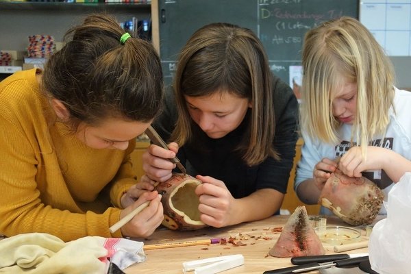 © schuleweinfelden.ch