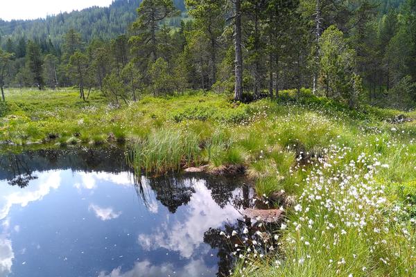 © glaubenberg-obwalden.ch