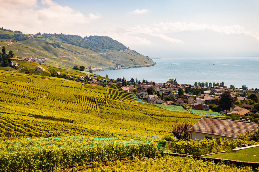 © LT/Laurent Kaczor / MyLausanne