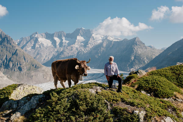 Kurt Kummer mit seiner Kuh auf der Weide über dem Aletschgletscher - © Walker Bergkäserei AG / zVg