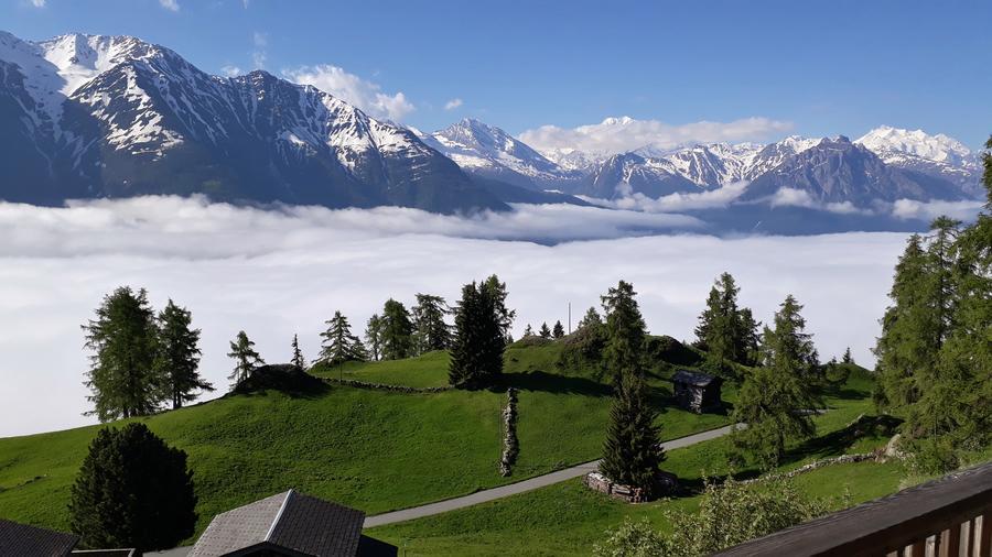 Früh am Morgen auf der Riederalp - © René Buss