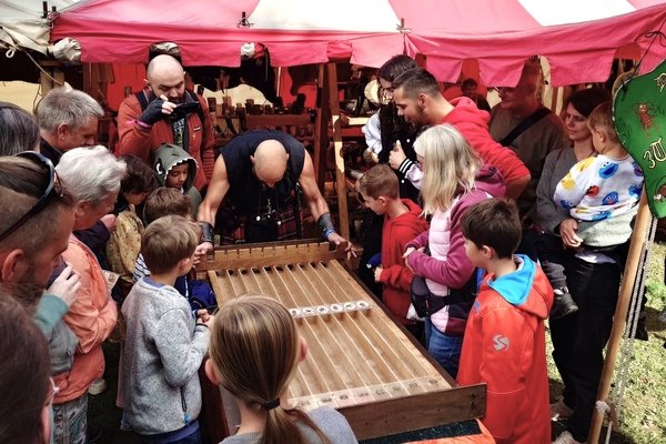 Kakerlakenrennen: «Ich setze 50 Rappen auf Kunigunde!»