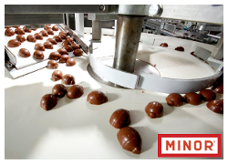 Glückskäfer von Minor