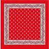 Blumer Carré Glarner Tüechli Classic rot