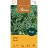 Samen Mauser Artemisia absinthium Wermut