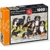 Carta.Media Berner Sennenhunde Puzzle 1000 Teile