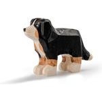 ProSpecieRara Appenzeller Sennenhund