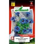 Enzian Blumensamen