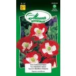Mohn Schweizerfahne Blumensamen