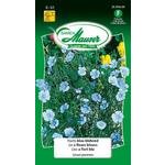 Flachs blau blühend Blumensamen