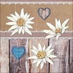Servietten Edelweiss Holz 20 Stück
