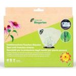 Insektenschutz-Tasche Stauden 6 Stück