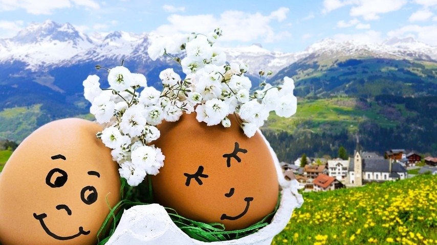 Das Balzverhalten der Schweizer - Frühling nach alter Tradition