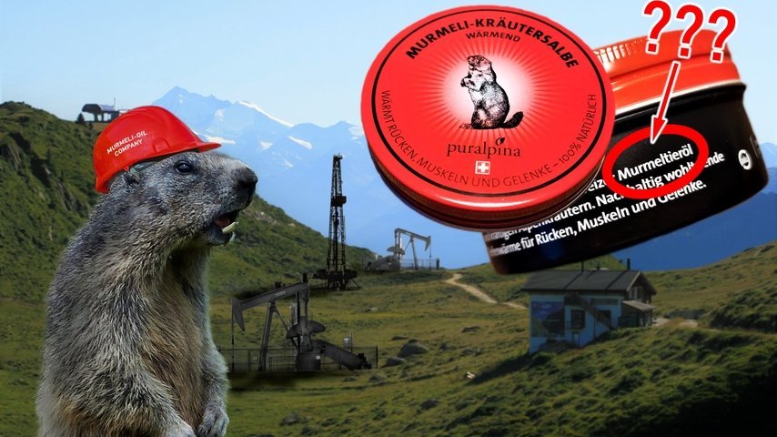 Das Öl der Murmeltiere: Ein raffiniertes Hausmittel der Natur