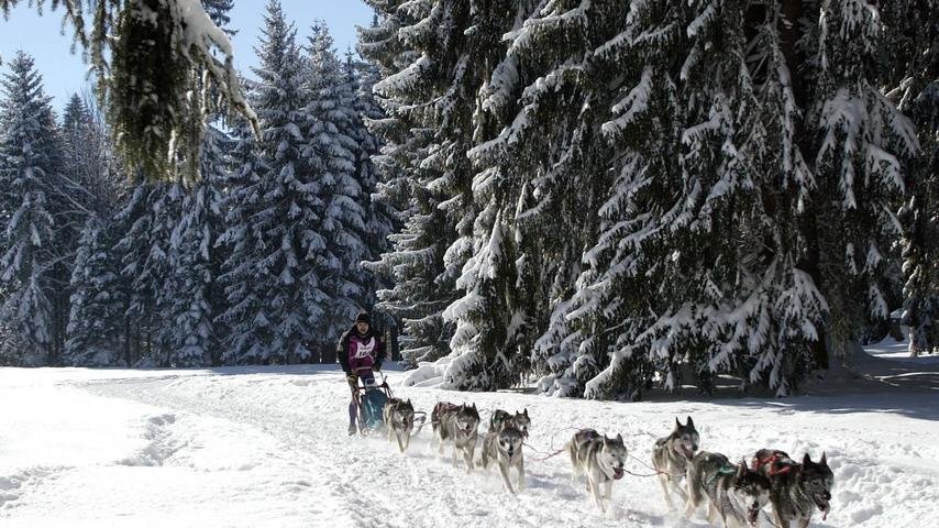 Die 3+1 Highlights des Jura