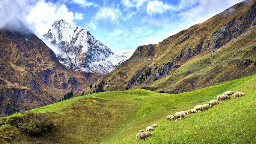 Die letzten Wanderhirten der Schweiz
