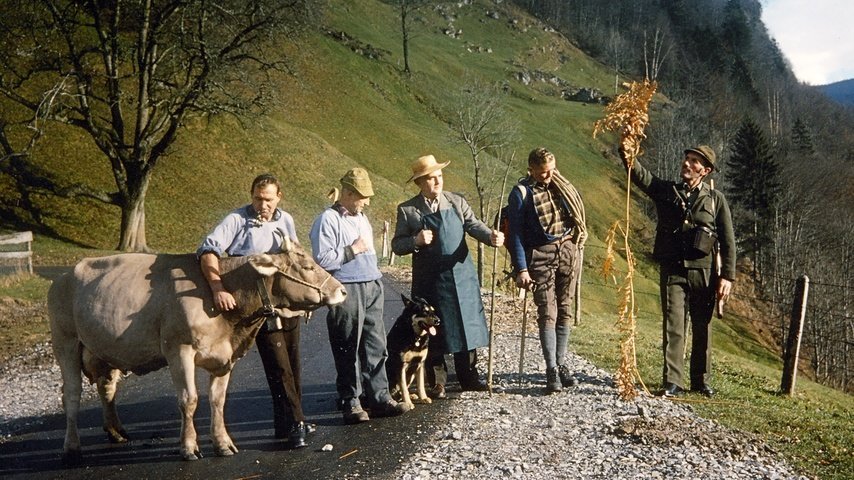Die Wetterpropheten aus dem Muotathal