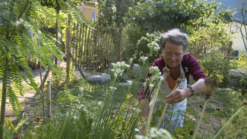 Eine kulinarische Rundfahrt durch das Tessin