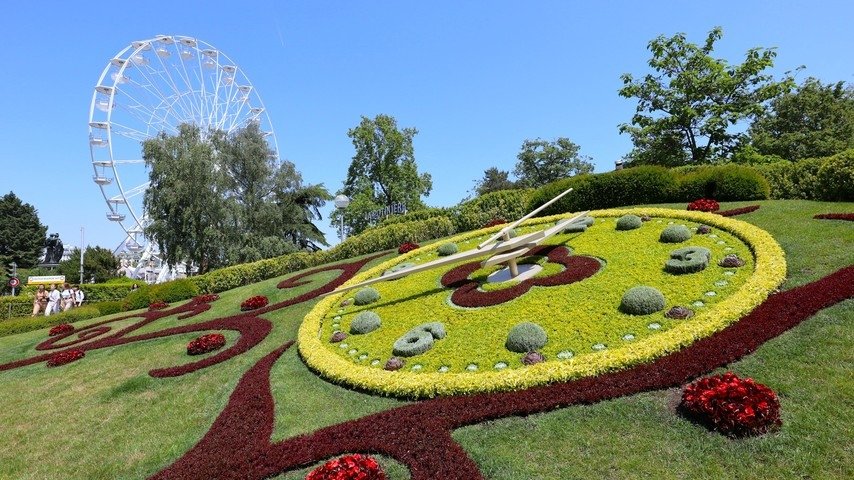 Die Schweiz blüht auf – Vier der schönsten Schweizer Parks im Frühling