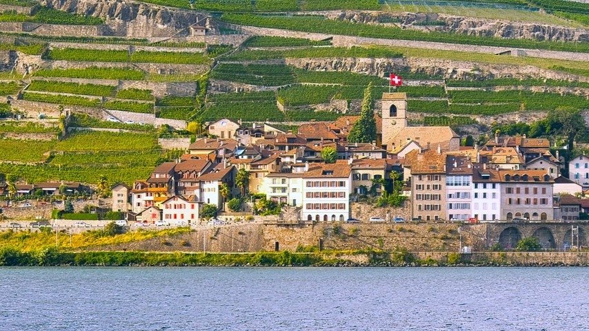 Schweizer Weine - Ein exklusiver Genuss