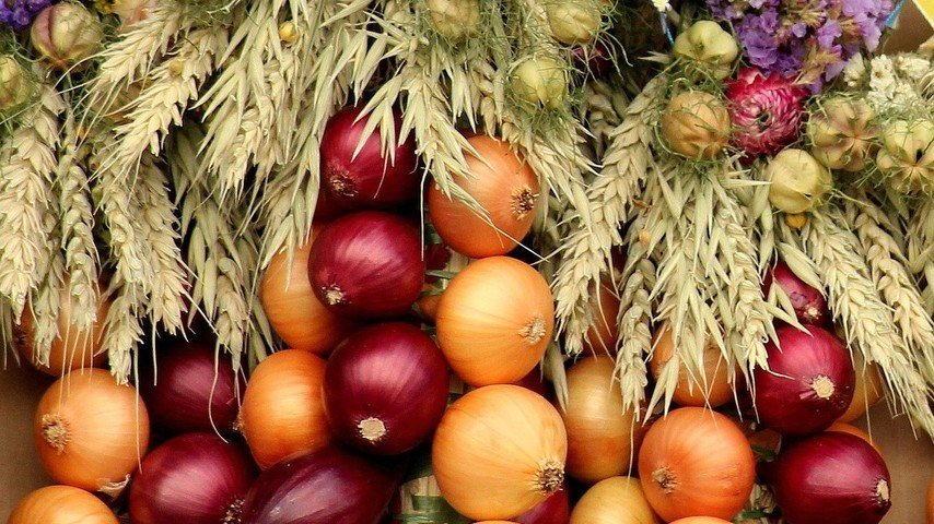 Von Zwiebeln und Konfetti – Der Berner «Zibelemärit»